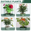 SYITCUN 8pack Peony Cages and Supports, 16” Four Legs Peony