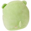 Ty Squish A Boo Clover The Green Bear - 10"