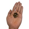 Screw Caps for Light Fixtures, Metal M4 Threaded Cap Nuts,
