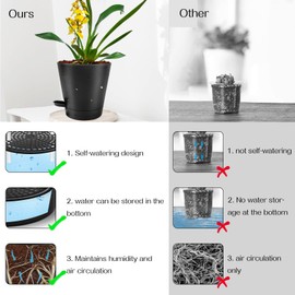 lehorra 1 Pcs Orchid Pots with Holes, 7 Inch Self Watering Plastic Orchid Pots for Repotting, Breathable Slotted Planter Pots for Orchid, Devil's Ivy Healthy Air Circulation & Drainage (Black)