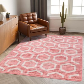 Shilucheng Area Rug for Bedroom,Modern 3x5 Carpet for Living Room Machine Washable Rug Clearance,Farmhouse Rug Non-Slip,Low Pile Floor Carpet for Dining Room (Pink)