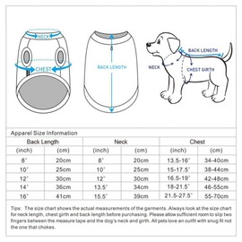 Blueberry Pet Pack of 2 Soft & Comfy Patriotic Spirit USA Stars Stripes American Flag Cotton Blend Dog T Shirts, Back Length 12", Clothes for Dogs