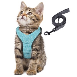 Simpeak Cat Harness and Leash for Walking Escape Proof Set,Adjustable Step in Outdoor Pet Vest Harness and Leash for Cats and Dogs Small Medium Large,Black Pink Green Grey Blue (Green, Large)