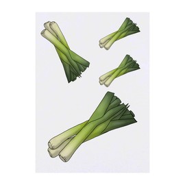 Azeeda 4 x 'Lauch' Temporäre Tattoos - Wasserfest, Hautfreundlich & Ungiftig · Transfers in Verschiedenen Größen (TO00056940)