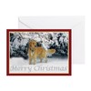 CafePress Golden Retriever Merry Christmas Greeting Cards (P Greeting Card