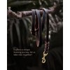 FAIRWIN Braided Leather Dog Training Leash 6 Foot - Dog