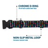 Buckle-Down Plastic Clip Collar - Mini Stars Black/Multi Color -