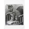Half a Donkey The Retro Style Cat on a Chair-
