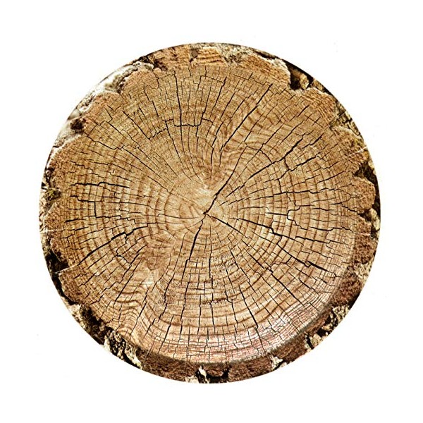 Havercamp Cut Timber Dessert 7" Round Plates (8 Plates)! Authentic Wood Grain Paper Plates are Part of The Cut Timber Party Collection