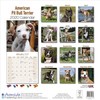 American Pit Bull Terrier Calendar 2020