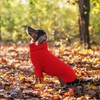 Geyecete Dachshund Sweater Dog Turtleneck Sweater,Cold Weather Cable Knitwear Small