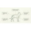 Nutriblend Suplemento Para Perro, Digestión Y Articulaciones