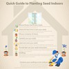 Outsidepride 50 Seeds Annual Ipomoea Nil Morning Glory Chocolate Climbing