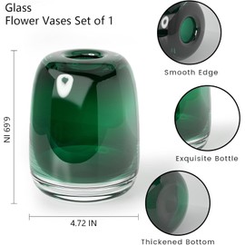 Relexome Dark Green Glass Flower Vase for Centerpieces Flowers 6.7 Inch Round Modern Glass Bud Vase Decorative Vases for Home Decor, Living Room, Dining Table, Entryway, Shelf, Office