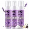 Shampoo en Seco para Perros, Espuma sin Agua, 250 ml