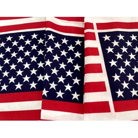 AMORNPHAN 45x40 Inch American USA Flag Patriotic Stars and Stripes Printed Cotton Fabric for Patchwork Needlework DIY Handmade Sewing Crafting Home Decoration (9 Small Flag Size 13"x14")