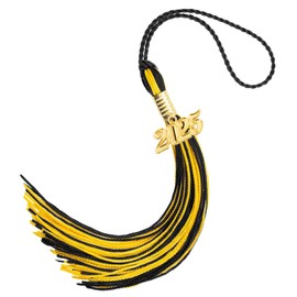 2025 Graduation Cap Tassel with 2025 Year Gold Charms for Graduation Cap, Tassel Accessories for Graduate Hat Ceremonies Black Gold