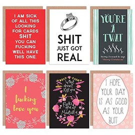 Wee Blue Coo Swearing Adult Funny All Occasions Various Assorted Blank Greeting Cards With Envelopes includes Xmas Birthday Engagement Pack of 6
