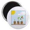 CafePress Seedlings Magnets 2.25" Round Button Magnet (10 pack)
