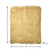 Champion 3000 DD; Essick N31D Aspen Evaporative Swamp Cooler Pads