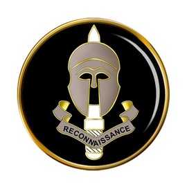Special Reconnaissance Regiment, British Army Pin Badge