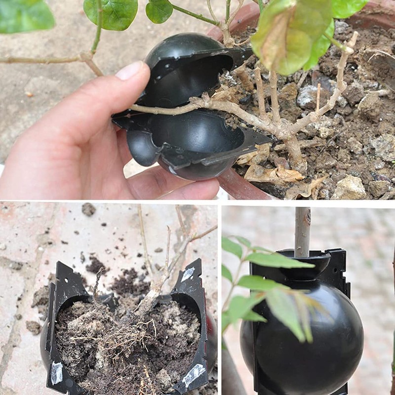 10Pcs Plant Rooting Device High Pressure Propagation Ball Root Grow