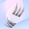 Makeup Eyelash Extension Women's Travel Set Material Type B (48P) 2ea
