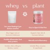 Boobie Body Superfood Protein Pregnancy and Postpartum Meal Replacement Shake,