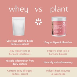 Boobie Body Superfood Protein Pregnancy and Postpartum Meal Replacement Shake, Chocolate Bliss Flavor | 19g Protein | Safe for Lactation & Motherhood | Organic, Vegan, Zero Sugar, 1 Tub (20 Servings)