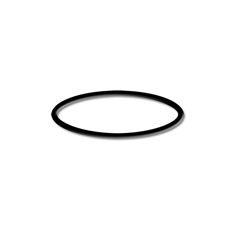 SunSun Swimming Pool Pump Replacement Part HZS-550 750 O-Ring 4