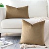 Artscope Luxury Velvet Cushion Covers Decorative Square Pillowcases Soft Solid