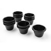Ramekin