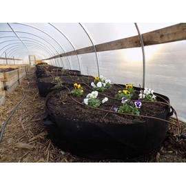 Bootstrap Farmer Large Grow Bag Raised Bed with Handles, 1 Pack, 100 Gallon