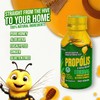 Biovital Propolis in Pure Tropical Honey 100% Herbal with 10