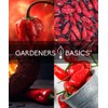 Ghost Pepper Seed Starter Kit - Grow Your Own Bhut