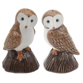 Lesser & Pavey Owl Salt and Pepper Shakers Set for All Types of Kitchen, Ceramic Salt and Pepper Shakers, Beautiful Salt and Pepper Shakers Suitable for Home or Office