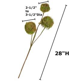 Factory Direct Craft Artificial Green Moss Twig Ball Spray for Woodland Arrangements and Displays - 28 Inches