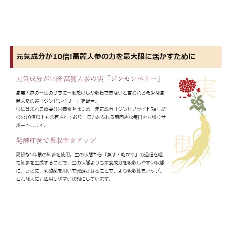 エバーライフ 高麗人参 100 ソフトカプセル 30粒(約15日分) 高麗人参の実 ジンセンベリー 配合 毎日続けて元気な体づくりを