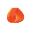 Red by Kiss Tintation Semi-Permanent Hair Color, Aloe Vera Water