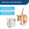 PetSafe Portable Cheese Automatic Cat Teaser