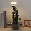 USB Plant Light Angel Ring with Timer Full Spectrum Sunlight