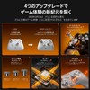 BIGBIG WON Gale Hall ゲームコントローラー、カスタムボタン、マクロ、ターボ、Switch/PC用デュアルショックコントローラー (Grey)