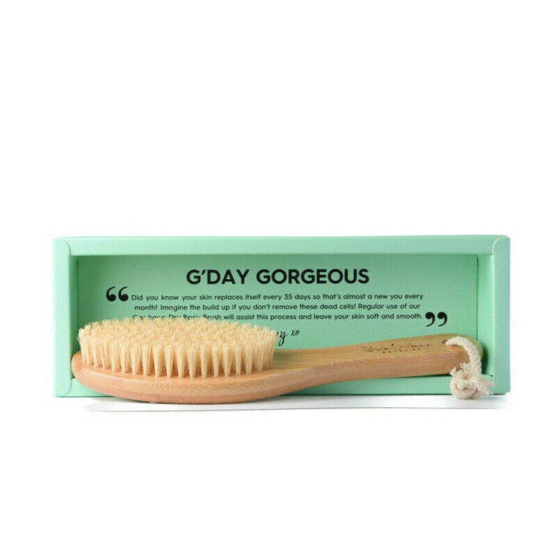 Black Chicken Remedies Garshana Dry Body Brush, 1 Brush