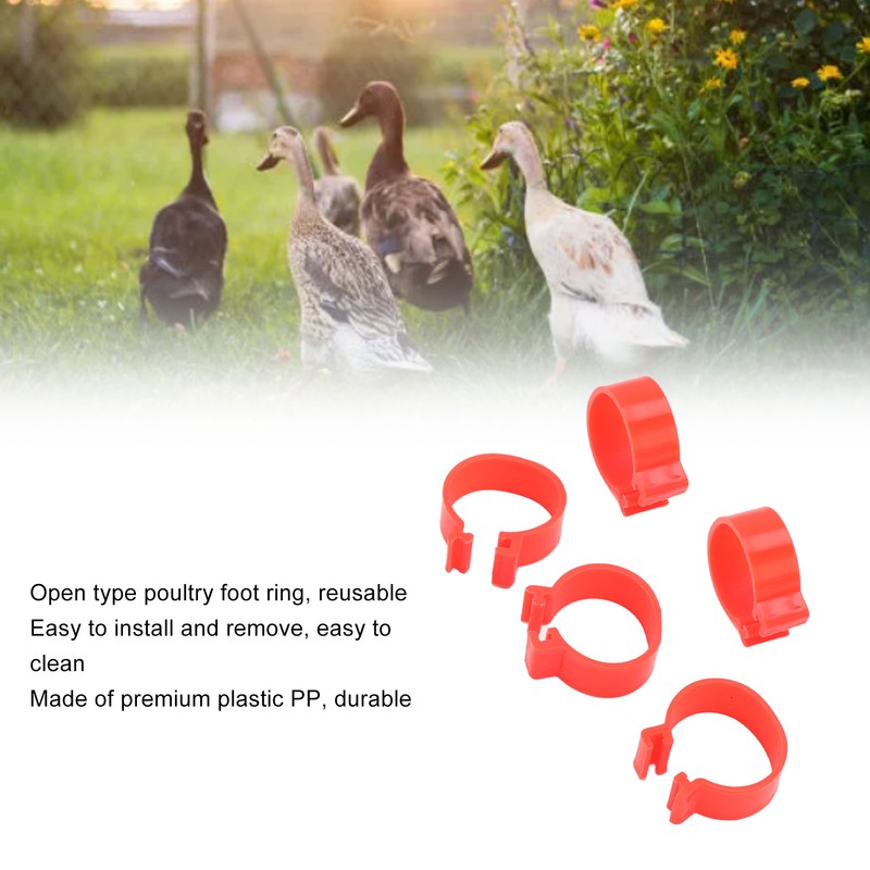 100pcs Poultry Feet Rings PP Plastic Reusable Chicken Duck Goose