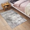 IOHOUZE Small Abstract Area Rug 2x3 Ft Entryway Rug Washable