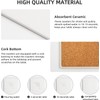 Absorbent Ceramic Coasters for Drinks with Cork Base Art Coasters