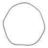 RIDEX Plus 305P0138P V-Ribbed Belt 4.45 mm 1420 mm 21.36