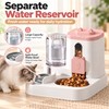 Automatic Cat Feeder and Water Dispenser for Daily Feeding –