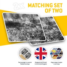 Rectangle Stickers(Set of 2) 7.5cm BW - Tortoise Turtle Jumping Frisbee Fun Decals for Laptops,Tablets,Luggage,Scrap Booking,Fridges, #36328