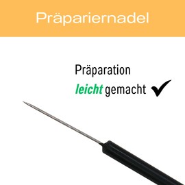 10x Dissecting Needles with Plastic Handle, Straight, Pointed - Dissecting Needles